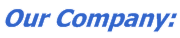 Our Company